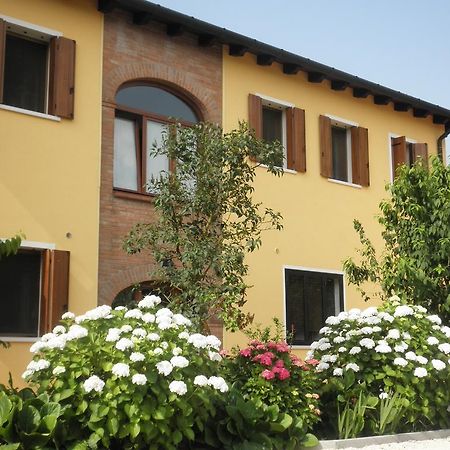 B&B Ai Ciliegi Mogliano Veneto Eksteriør bilde