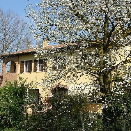 B&B Ai Ciliegi Mogliano Veneto Eksteriør bilde