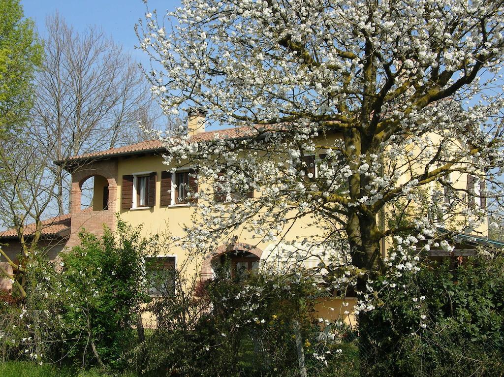 B&B Ai Ciliegi Mogliano Veneto Eksteriør bilde